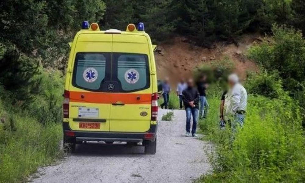 Παρνασσός: Πήγε να κόψει ξύλα και βρέθηκε νεκρός